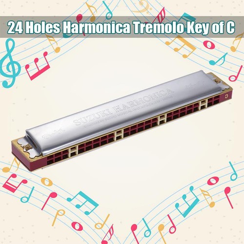 Study holes harmonica - c-study-24,