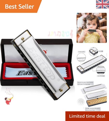 Rich sound pocket harmonica - rich, in