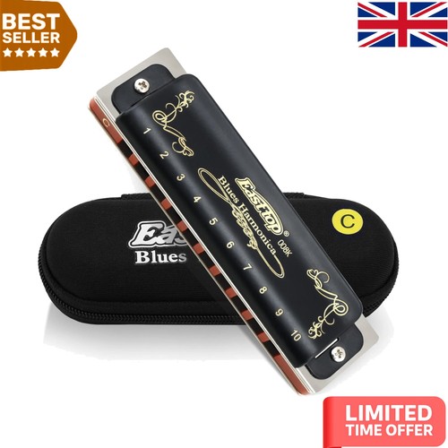 Hole diatonic harmonica - diatonic, in