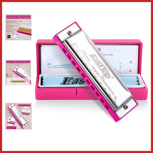 Beginner blues harmonica key - c,
