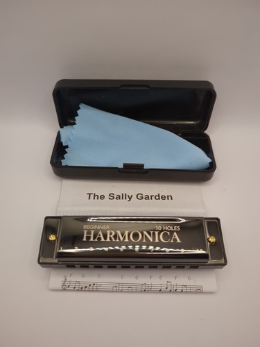 Beginner harmonica holes - beginner, 10